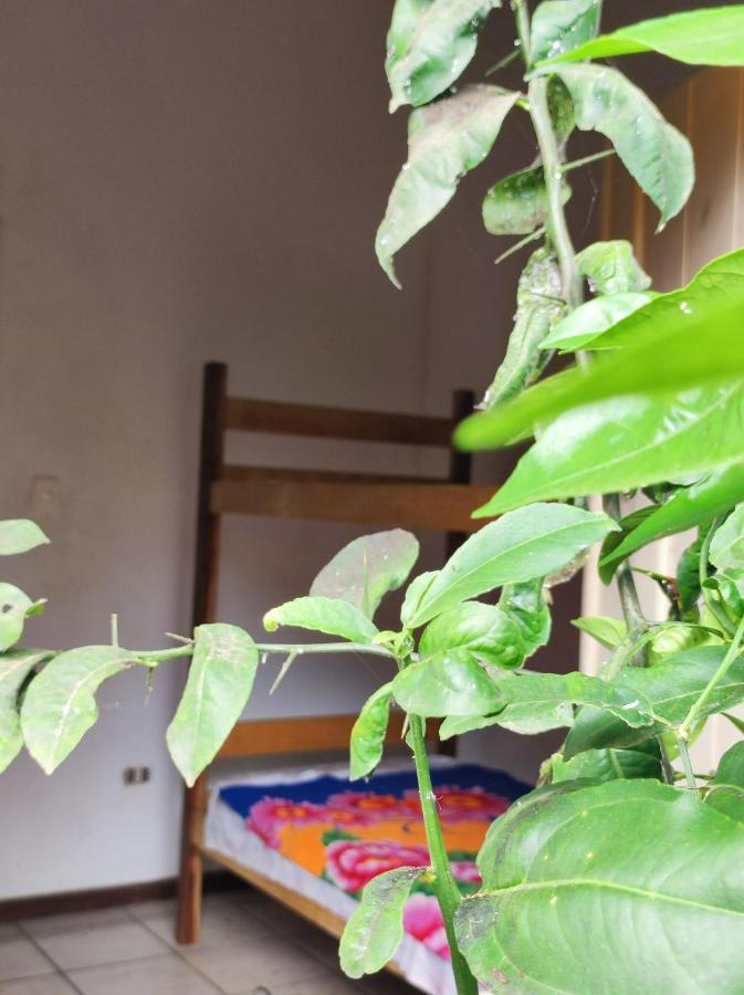 Shangri-La Hostel Barra Grande  Kültér fotó