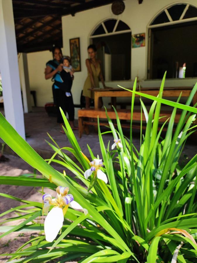 Shangri-La Hostel Barra Grande  Kültér fotó