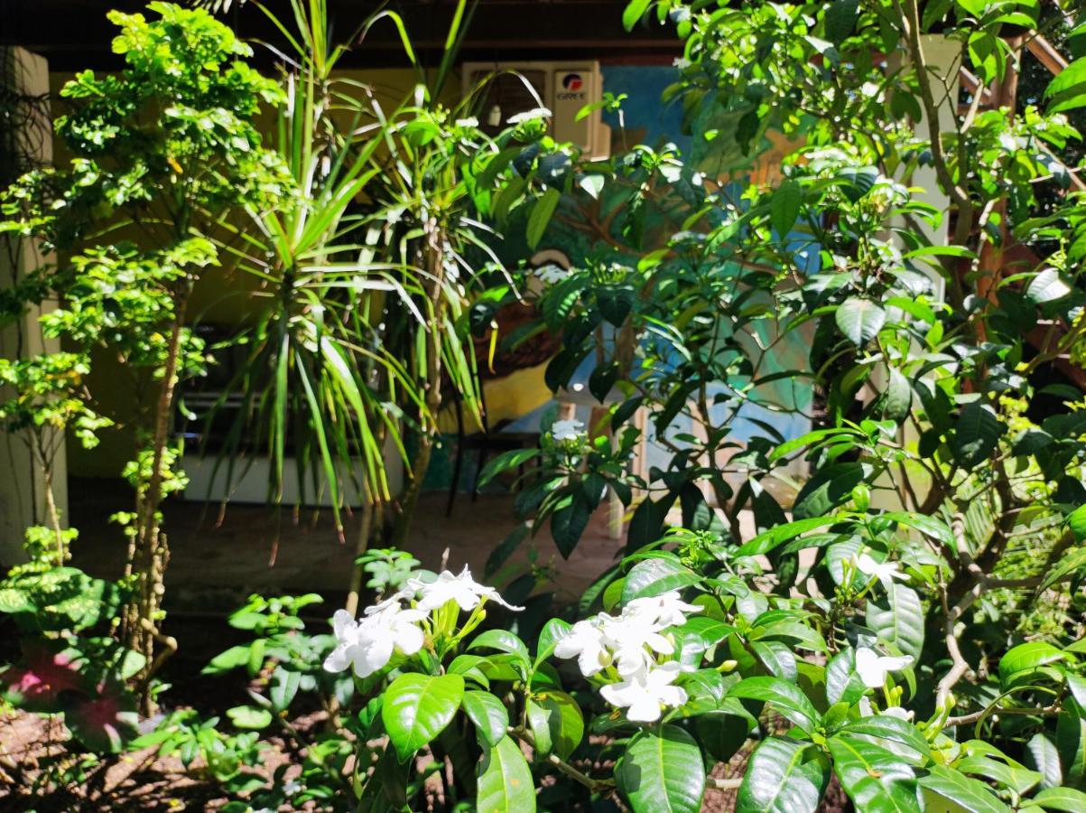 Shangri-La Hostel Barra Grande  Kültér fotó